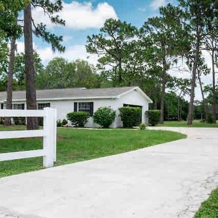 3Bdr2Bath Home In Lutz Close To Tampa, 20 Min To Stadium, Airport Exterior foto